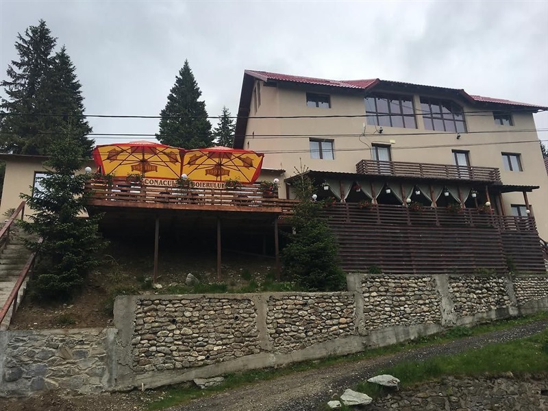 Pensiunea Conacul Boierului — fotografie a proprietății