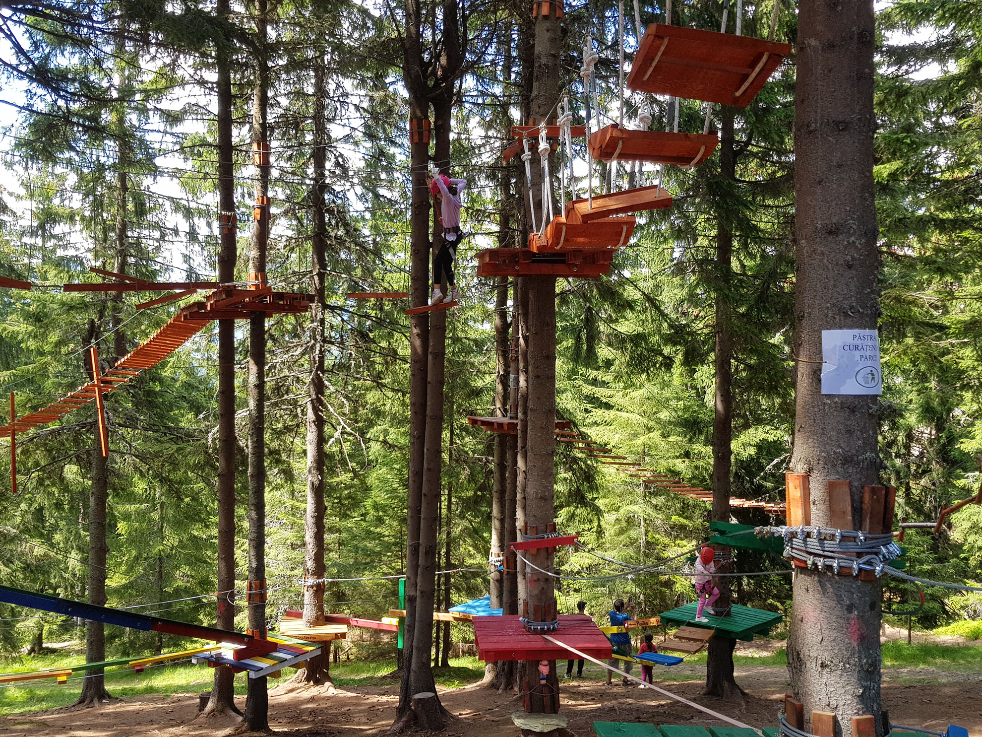 Trasee suspendate în copacii de la Parc Aventura Rânca